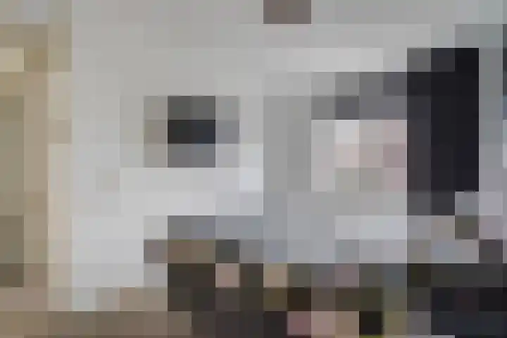 Shetlandpad 14 Zoetermeer thumbnail 28
