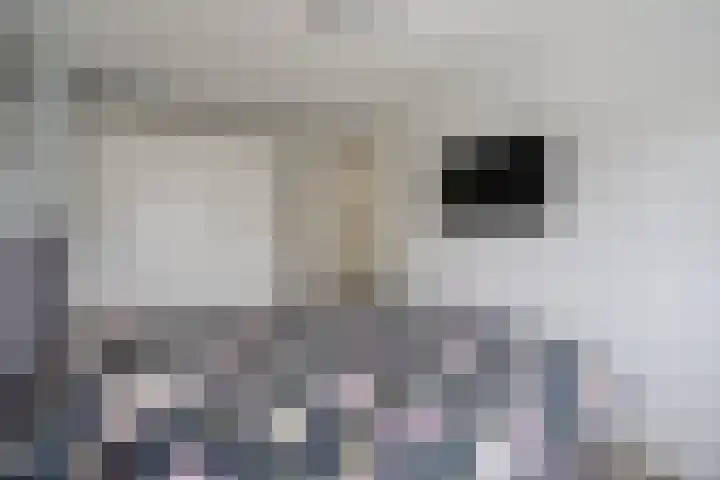 Shetlandpad 14 Zoetermeer thumbnail 29
