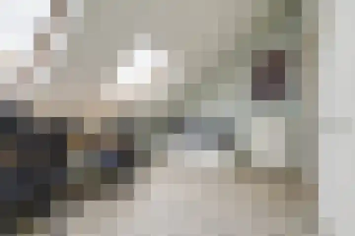 Shetlandpad 14 Zoetermeer thumbnail 36