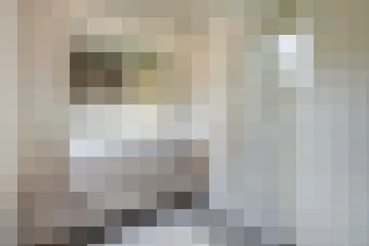 Shetlandpad 14 Zoetermeer thumbnail 4