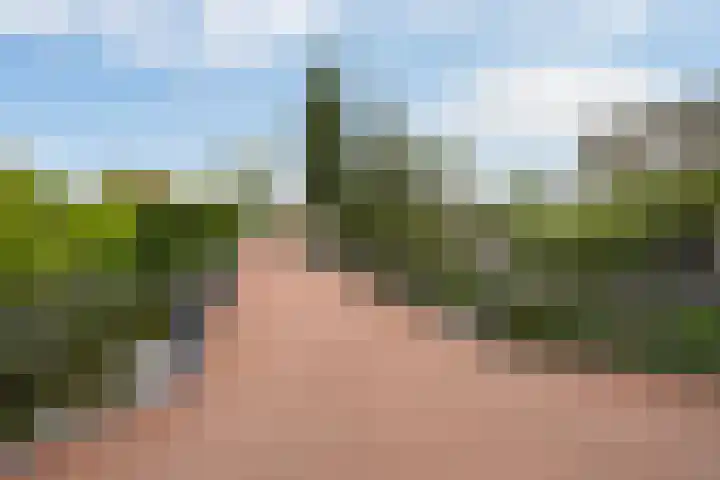 Shetlandpad 14 Zoetermeer thumbnail 40