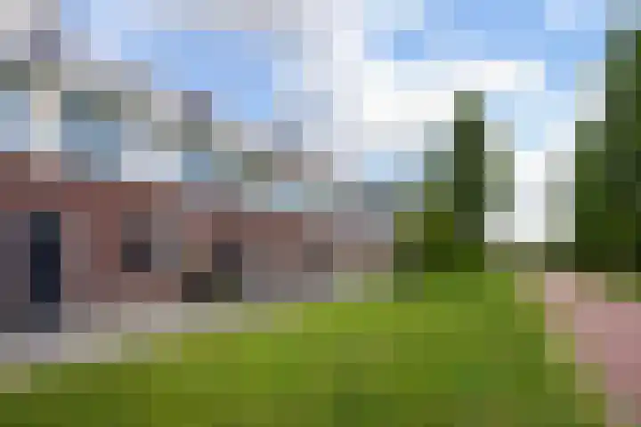 Shetlandpad 14 Zoetermeer thumbnail 6