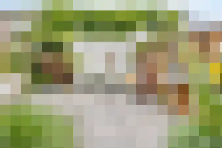 Shetlandpad 6 Zoetermeer thumbnail 11