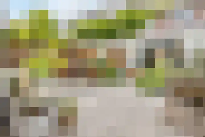 Shetlandpad 6 Zoetermeer thumbnail 12