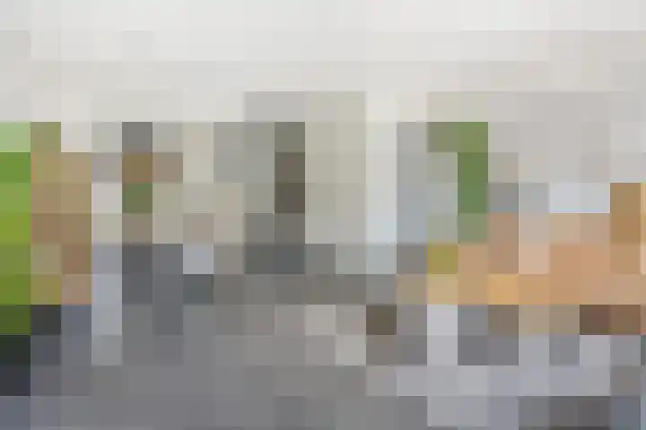 Shetlandpad 6 Zoetermeer thumbnail 15