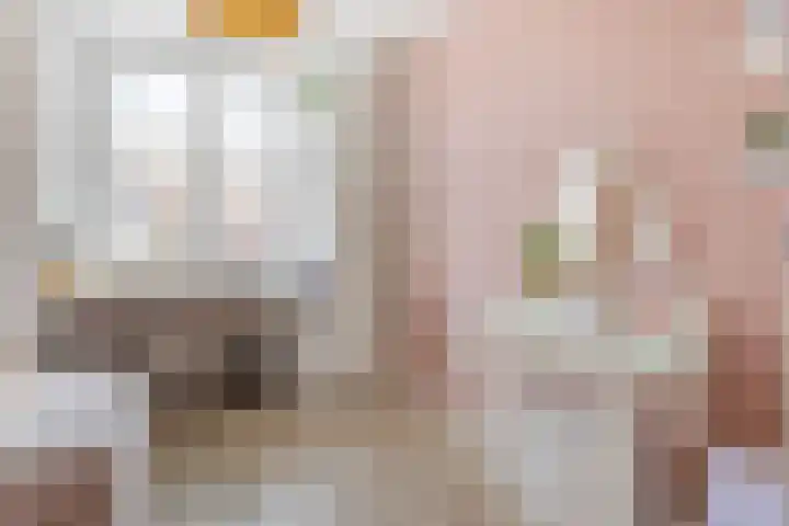 Shetlandpad 6 Zoetermeer thumbnail 20