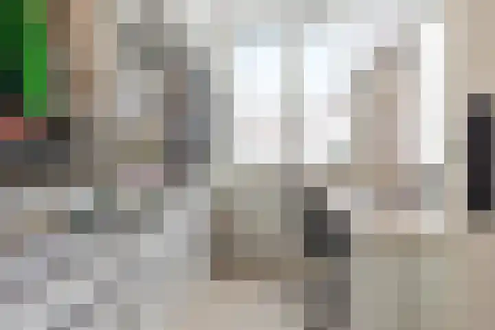 Shetlandpad 6 Zoetermeer thumbnail 22