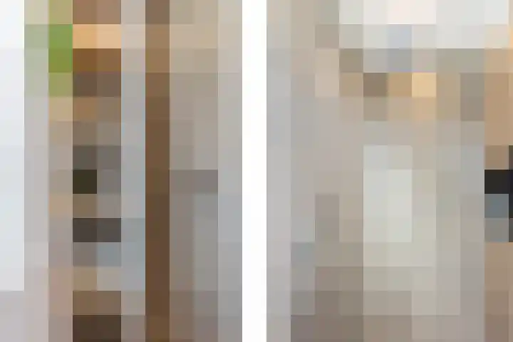 Shetlandpad 6 Zoetermeer thumbnail 24