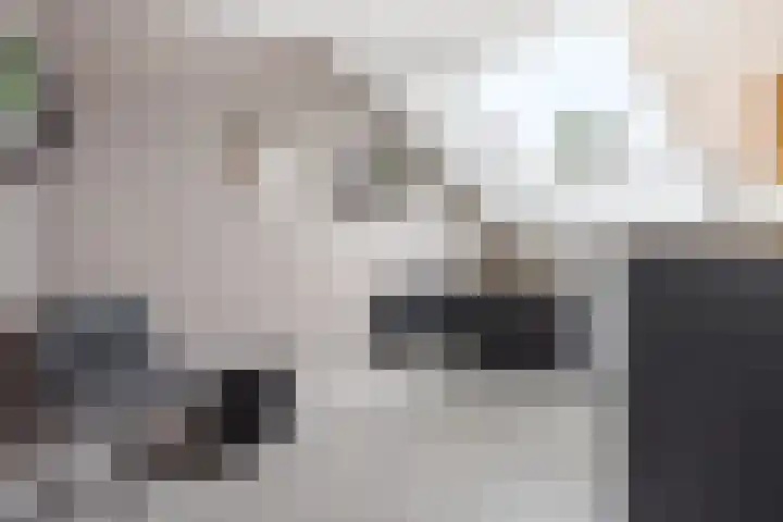 Shetlandpad 6 Zoetermeer thumbnail 29