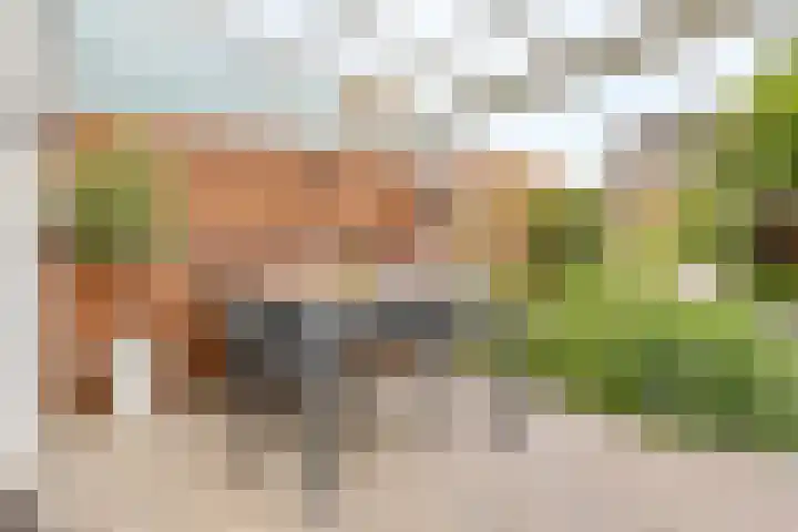Shetlandpad 6 Zoetermeer thumbnail 31