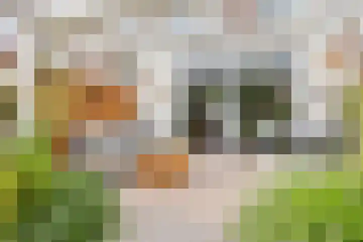 Shetlandpad 6 Zoetermeer thumbnail 32