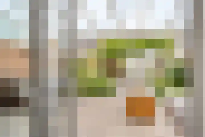 Shetlandpad 6 Zoetermeer thumbnail 33