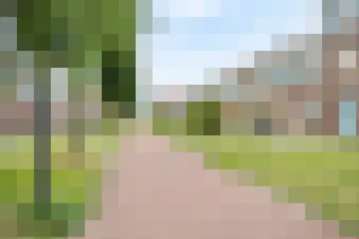 Shetlandpad 6 Zoetermeer thumbnail 34