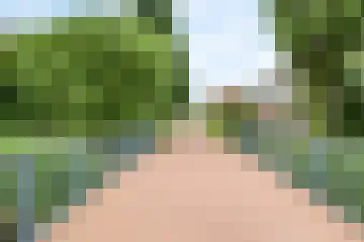Shetlandpad 6 Zoetermeer thumbnail 35