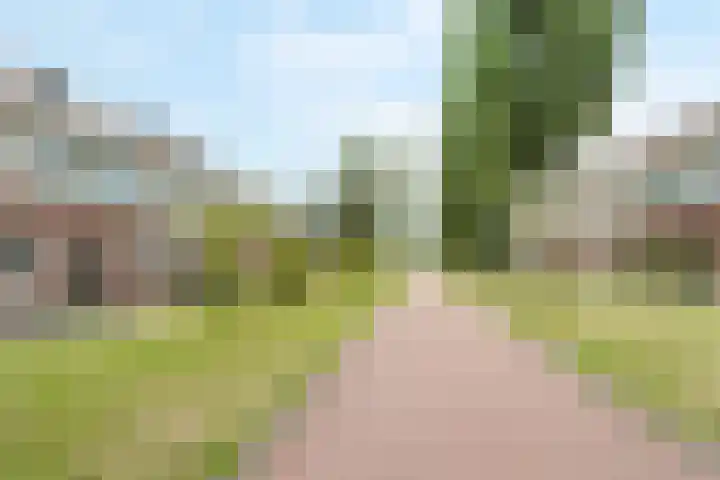 Shetlandpad 6 Zoetermeer thumbnail 36