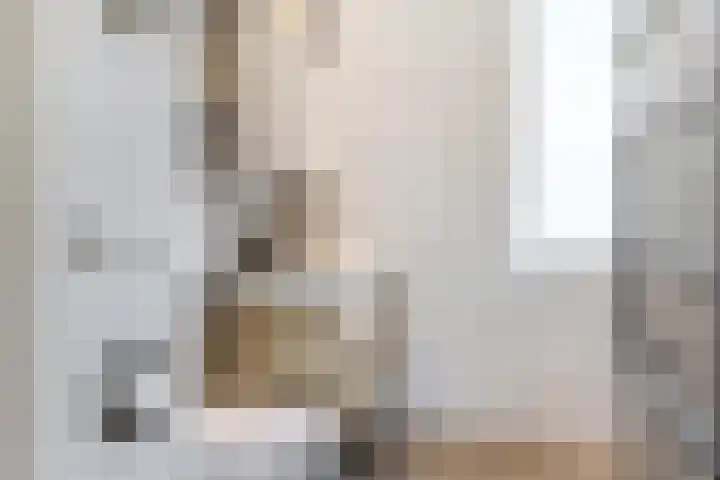 Shetlandpad 6 Zoetermeer thumbnail 5