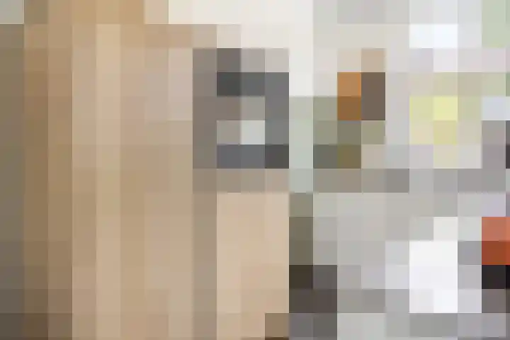 Shetlandpad 6 Zoetermeer thumbnail 6