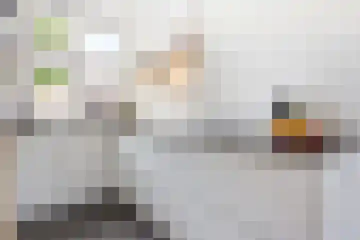 Shetlandpad 6 Zoetermeer thumbnail 7