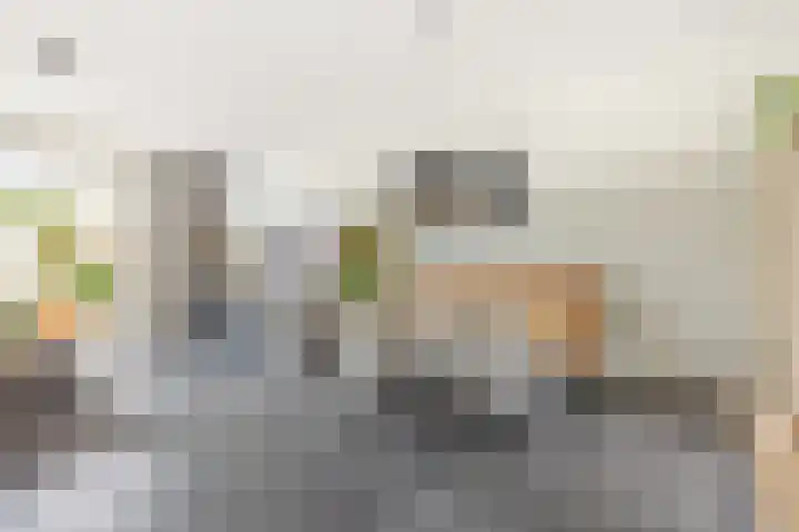 Shetlandpad 6 Zoetermeer thumbnail 9
