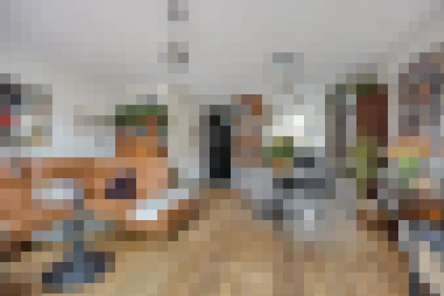 Shetlandpad 9 Zoetermeer thumbnail 12