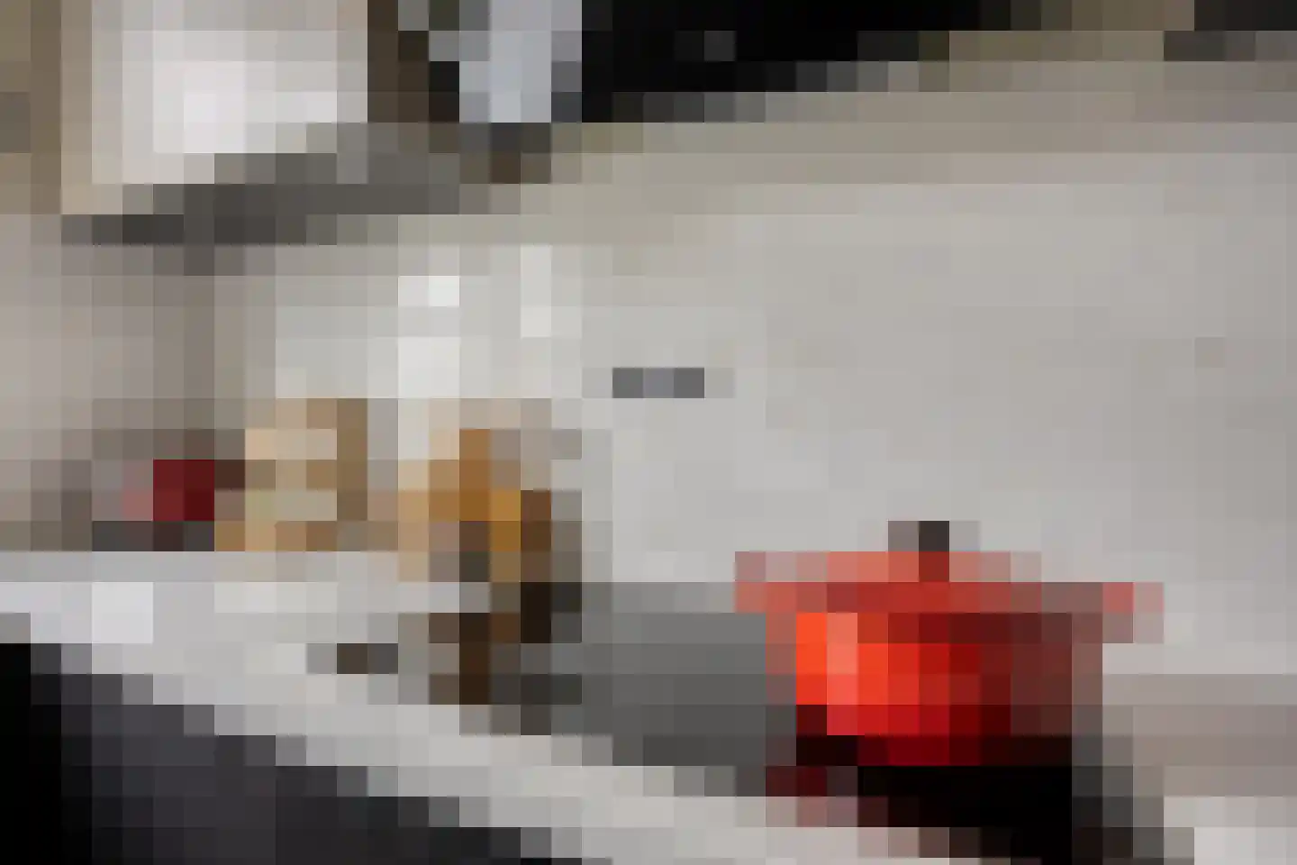Shetlandpad 9 Zoetermeer thumbnail 14