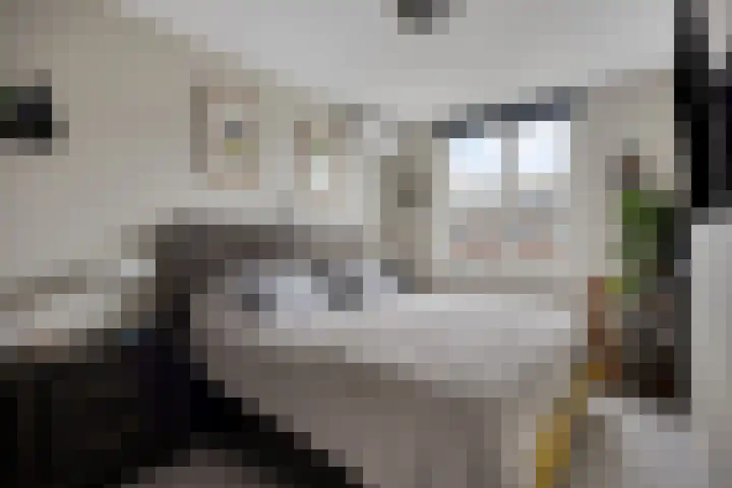 Shetlandpad 9 Zoetermeer thumbnail 16