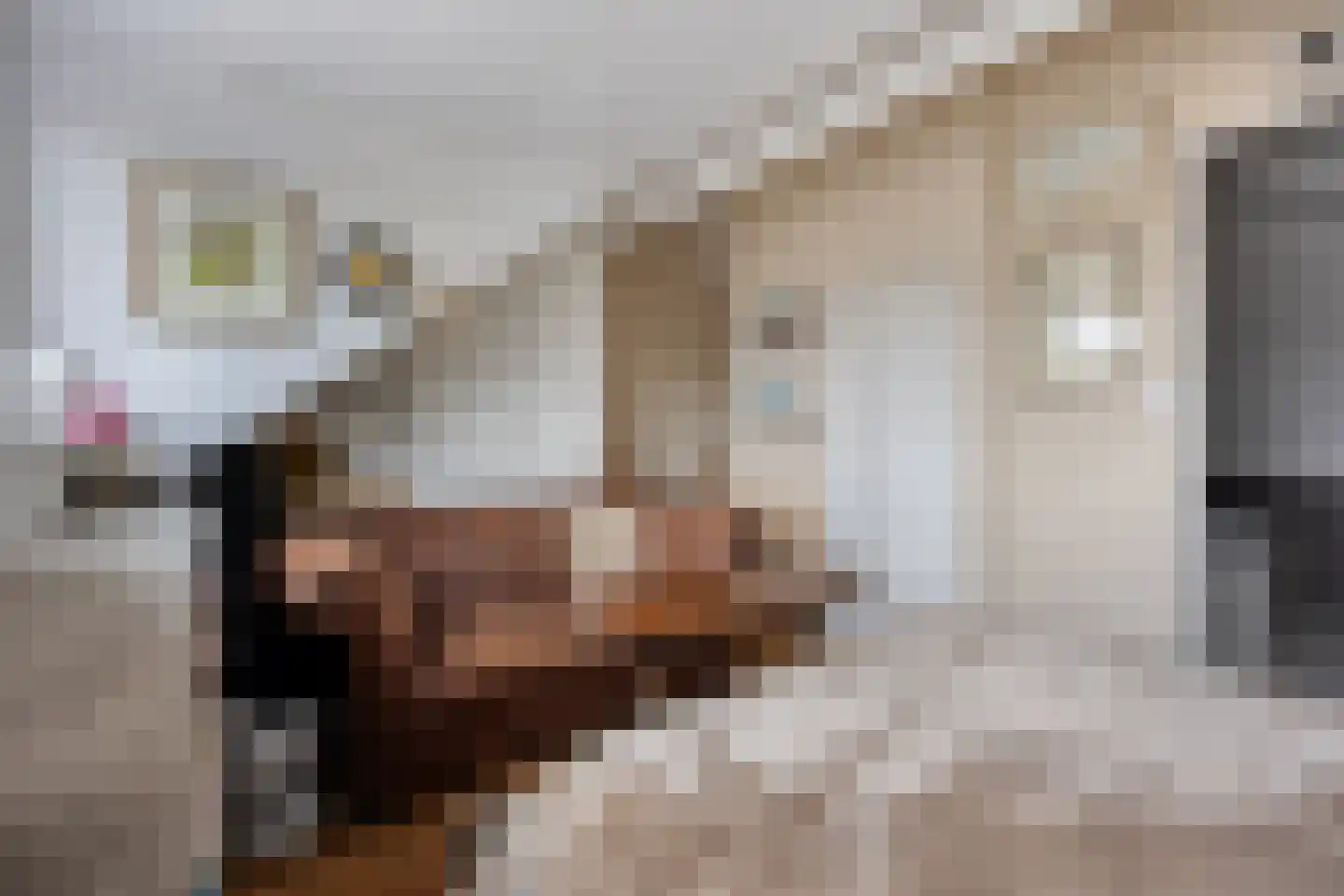 Shetlandpad 9 Zoetermeer thumbnail 23