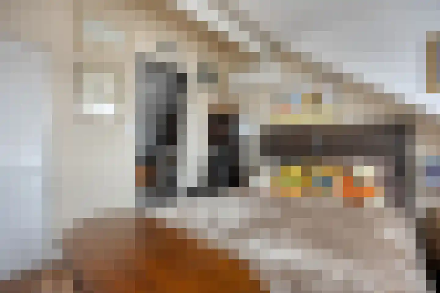 Shetlandpad 9 Zoetermeer thumbnail 24