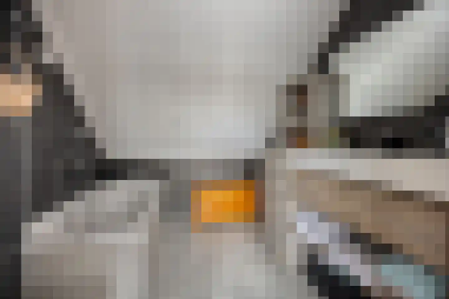 Shetlandpad 9 Zoetermeer thumbnail 25