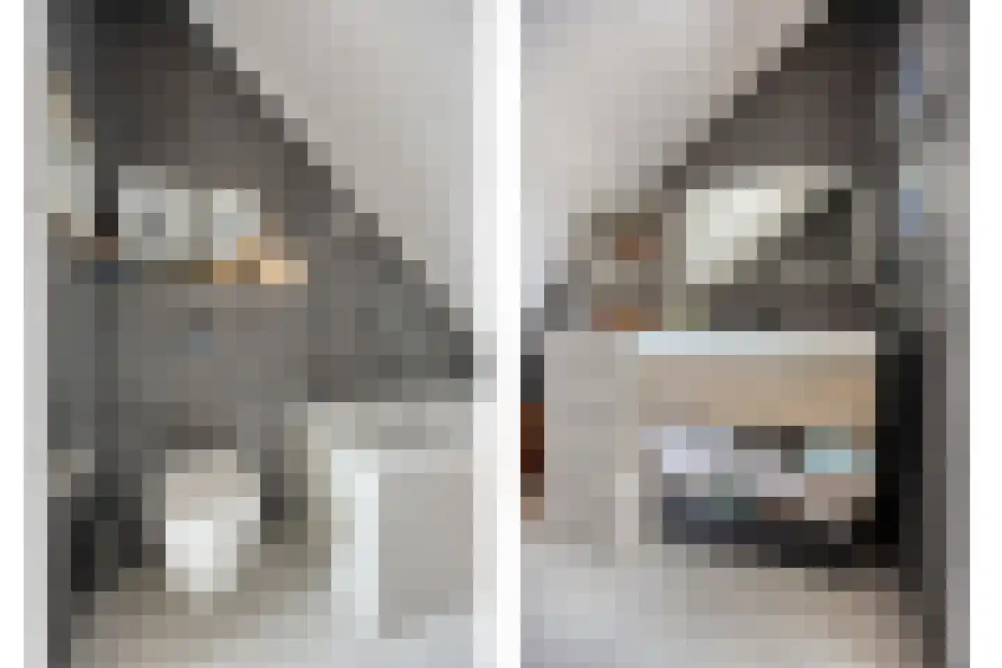 Shetlandpad 9 Zoetermeer thumbnail 26