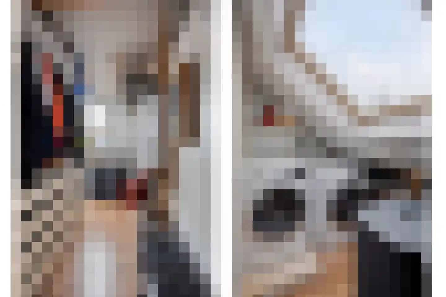 Shetlandpad 9 Zoetermeer thumbnail 28