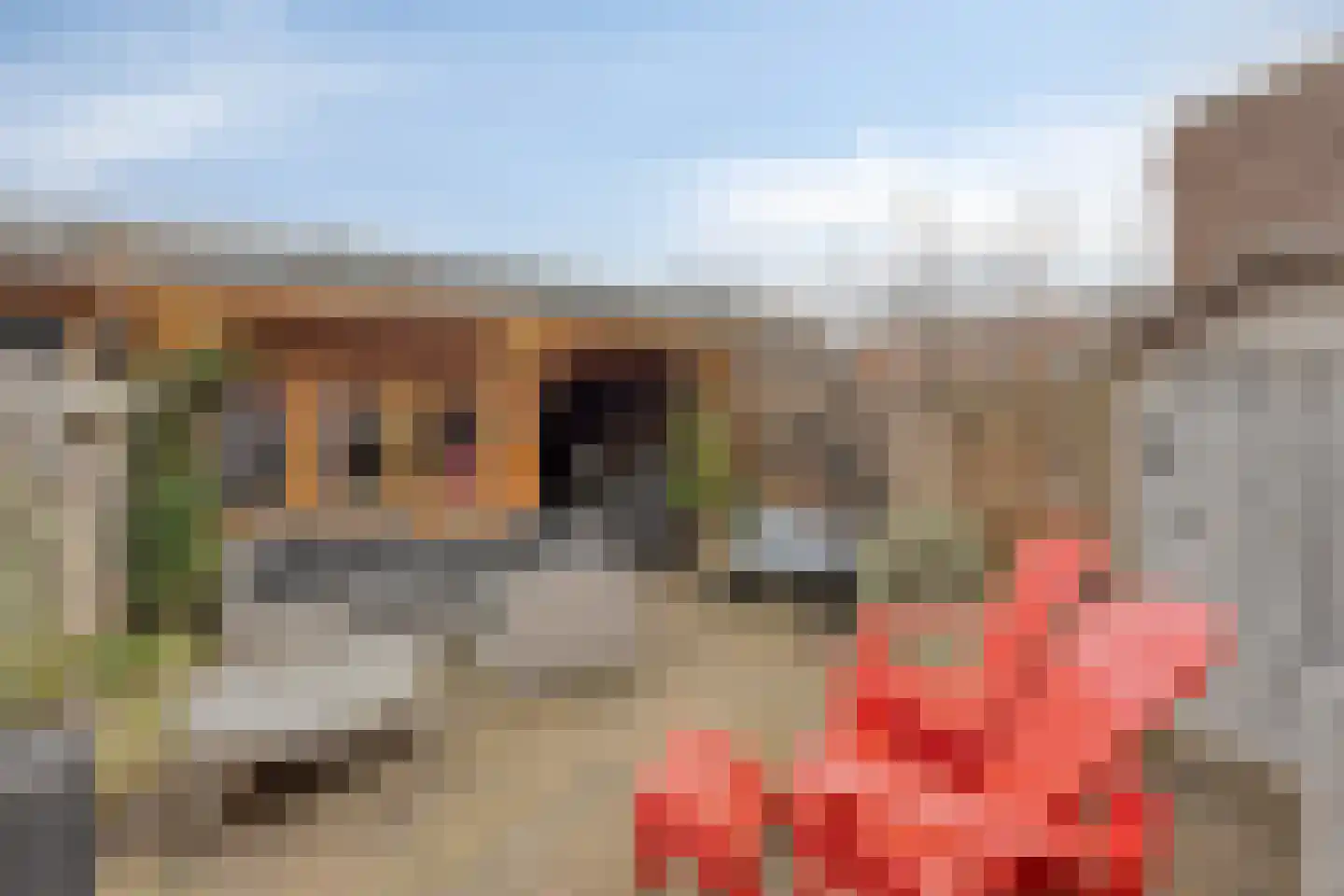 Shetlandpad 9 Zoetermeer thumbnail 29