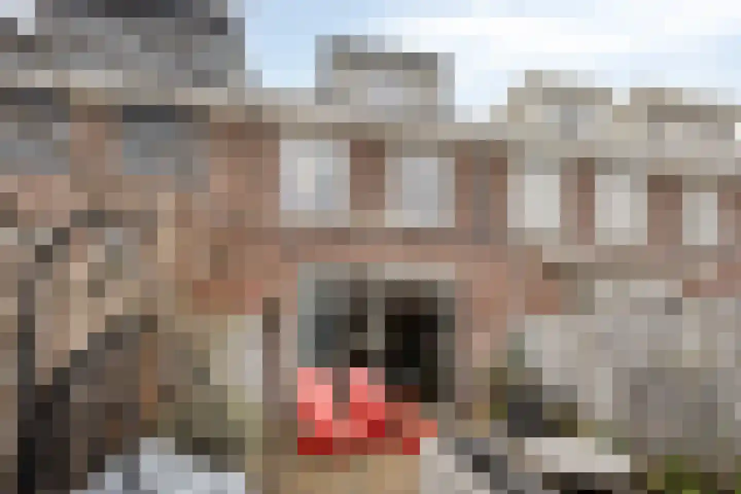 Shetlandpad 9 Zoetermeer thumbnail 30