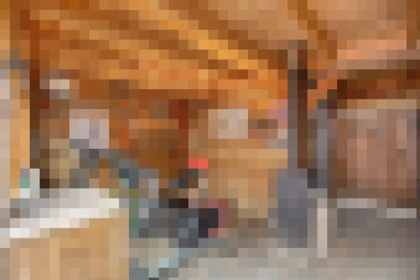 Shetlandpad 9 Zoetermeer thumbnail 31