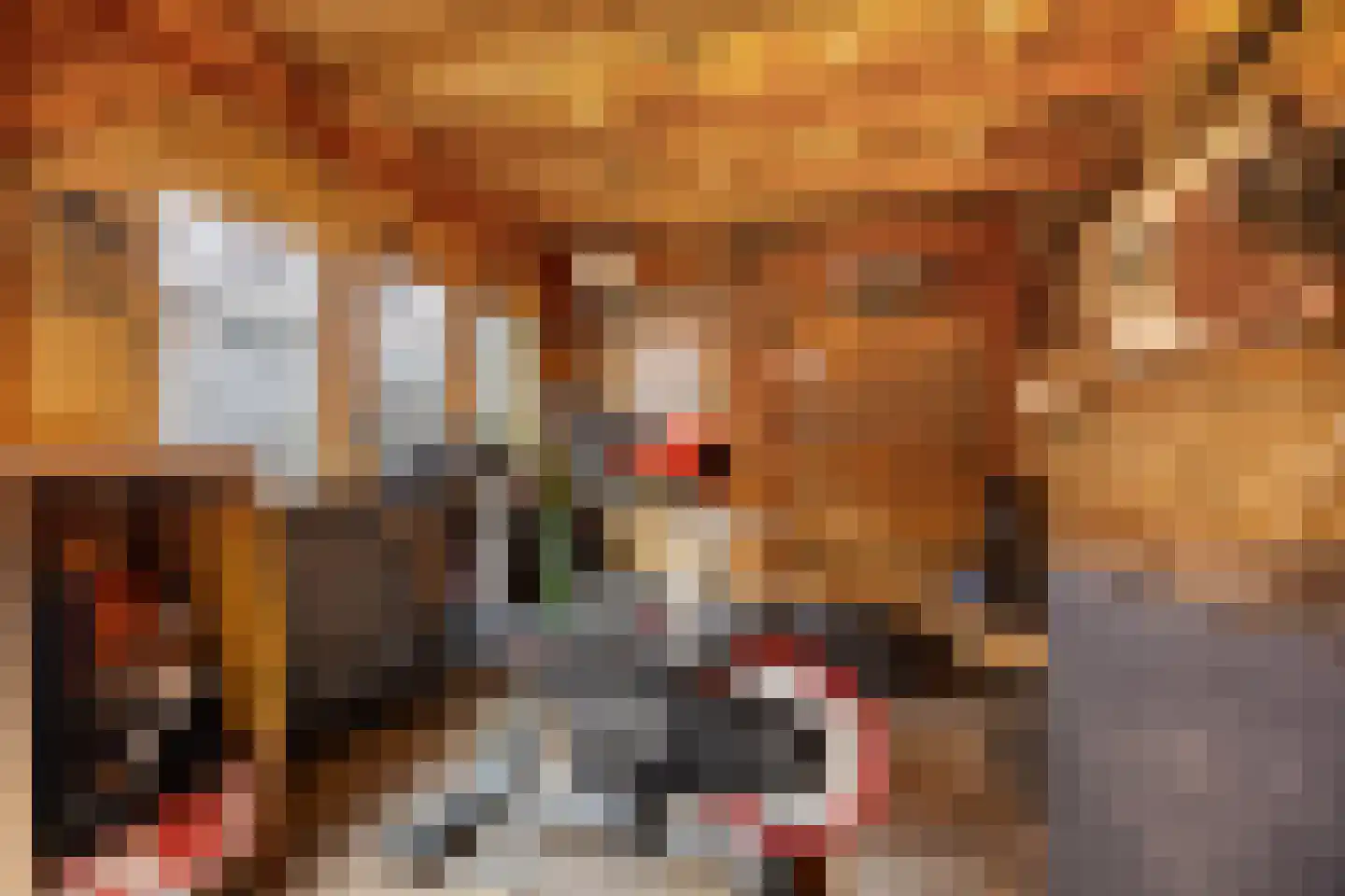 Shetlandpad 9 Zoetermeer thumbnail 32