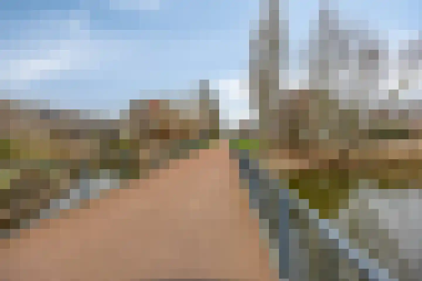 Shetlandpad 9 Zoetermeer thumbnail 38
