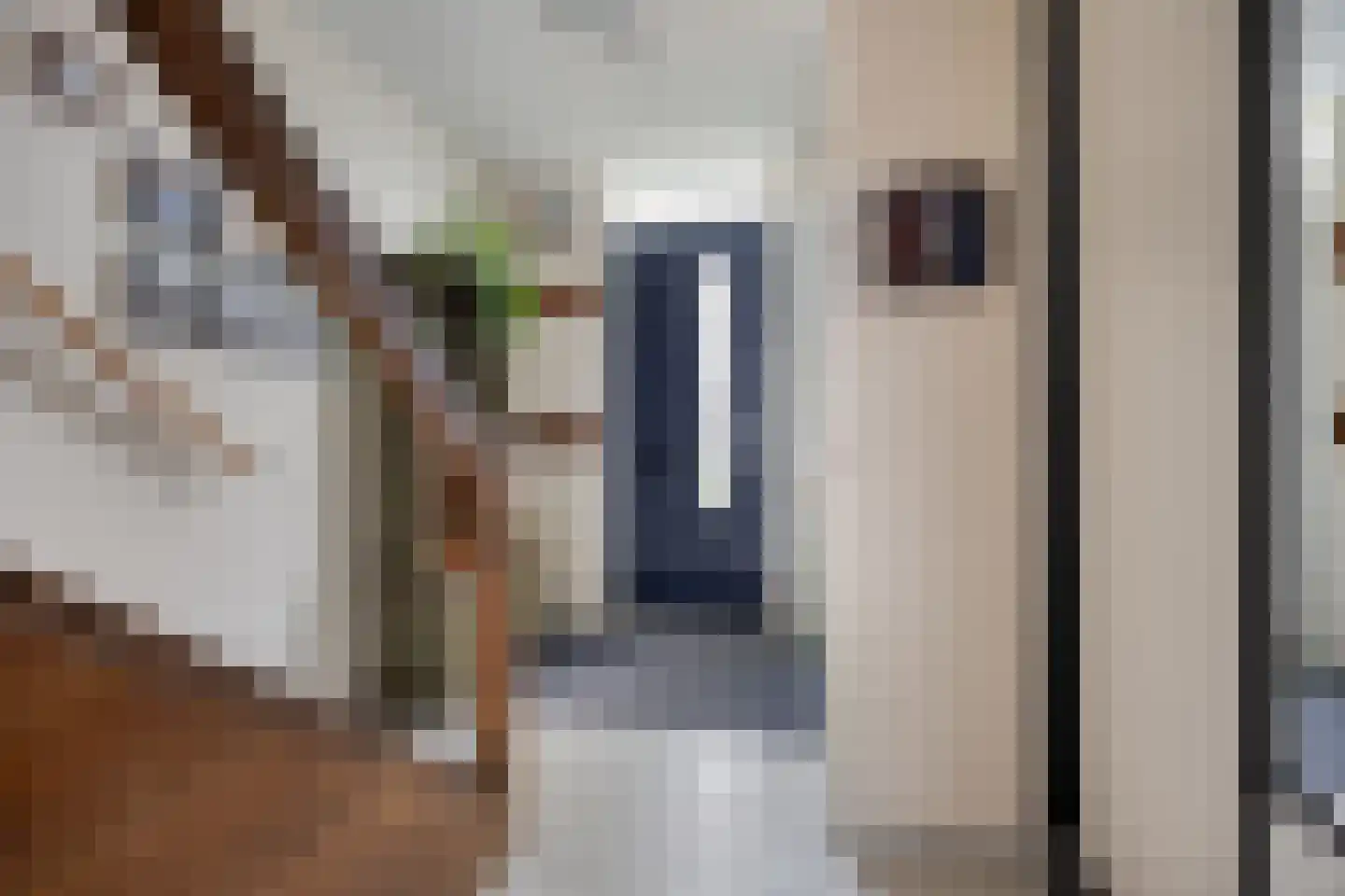 Shetlandpad 9 Zoetermeer thumbnail 7