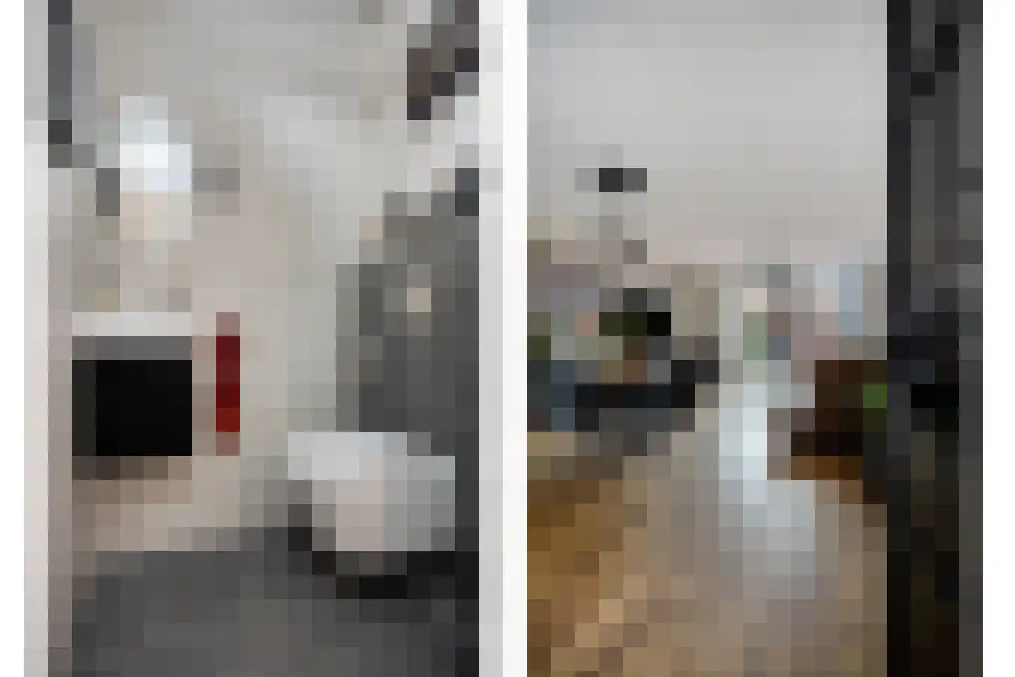 Shetlandpad 9 Zoetermeer thumbnail 8