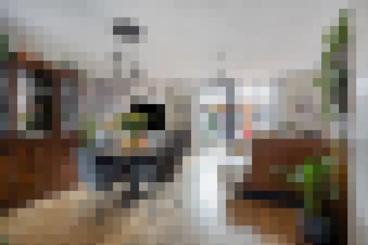 Shetlandpad 9 Zoetermeer thumbnail 9
