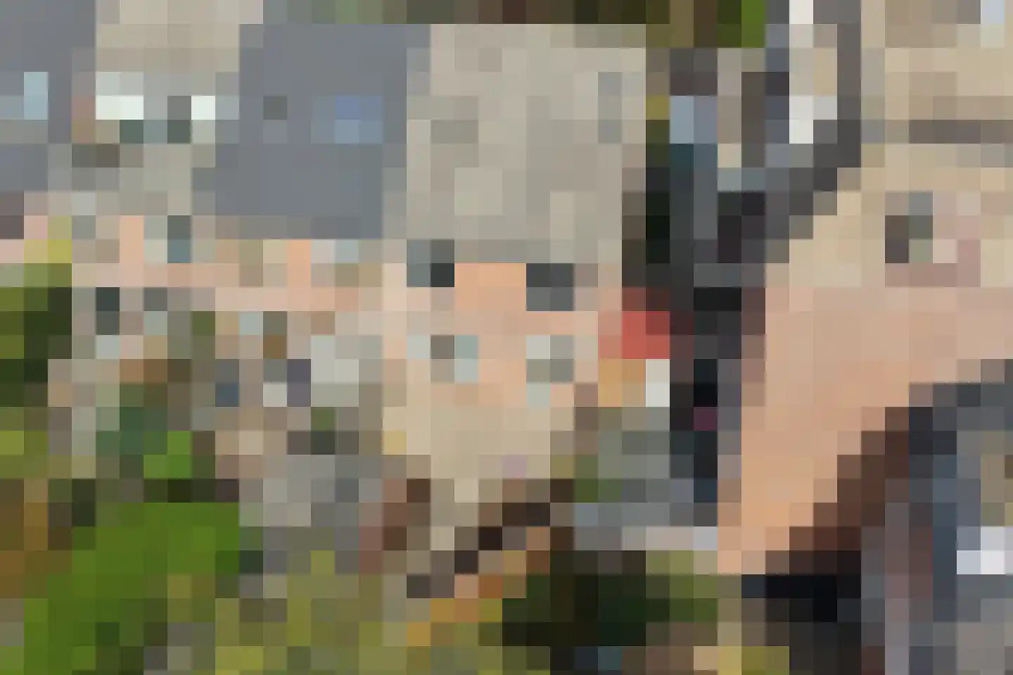 Shetlands 25 Utrecht thumbnail 27