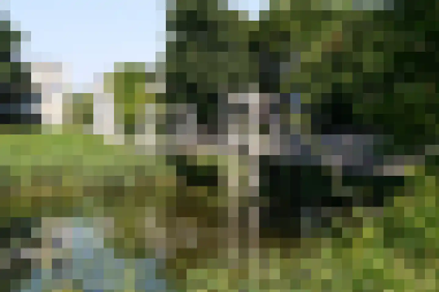 Shetlands 25 Utrecht thumbnail 30