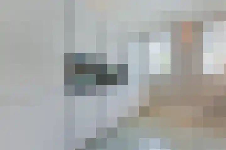 Shipovalaan 11 Utrecht thumbnail 10