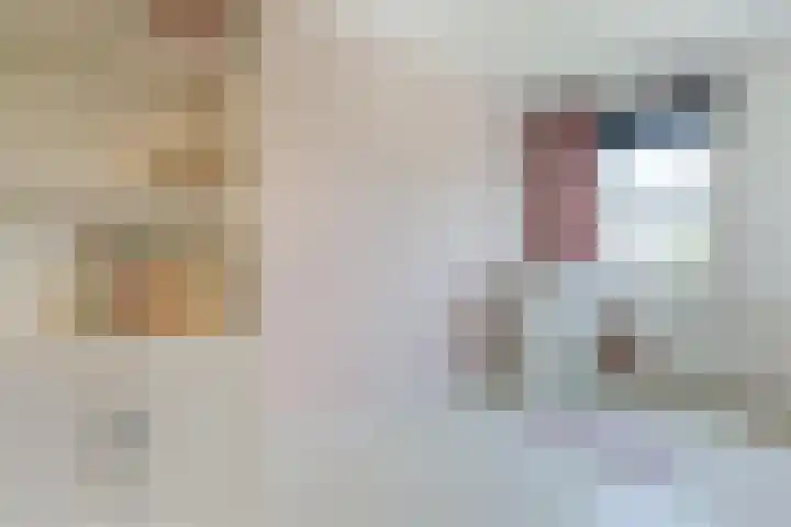 Shipovalaan 11 Utrecht thumbnail 16
