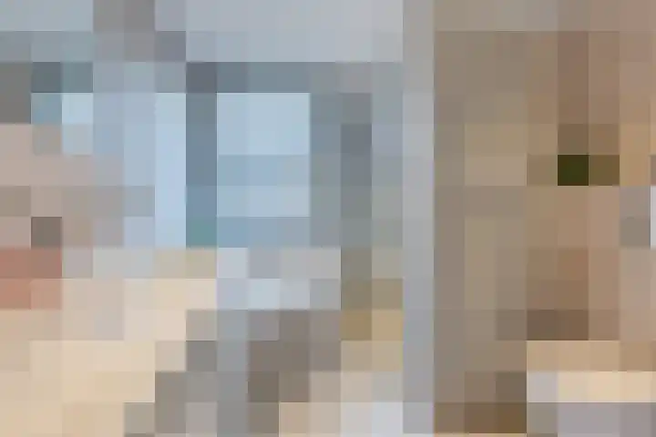 Shipovalaan 11 Utrecht thumbnail 24