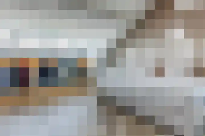 Shipovalaan 11 Utrecht thumbnail 31