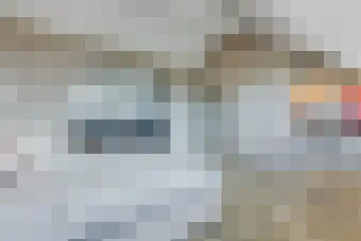 Shipovalaan 11 Utrecht thumbnail 32