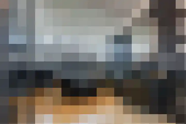 Shipovalaan 11 Utrecht thumbnail 35