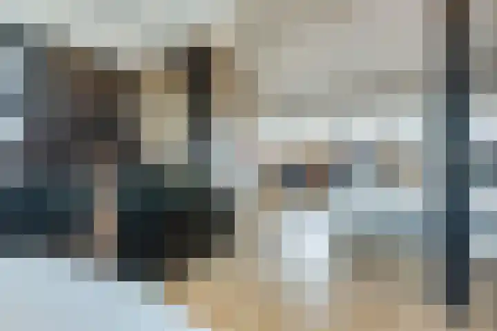 Shipovalaan 11 Utrecht thumbnail 36