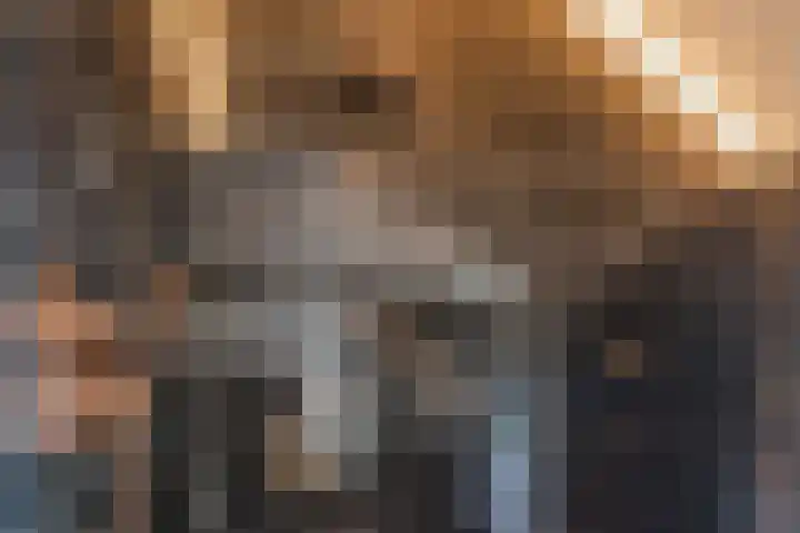Shipovalaan 11 Utrecht thumbnail 39