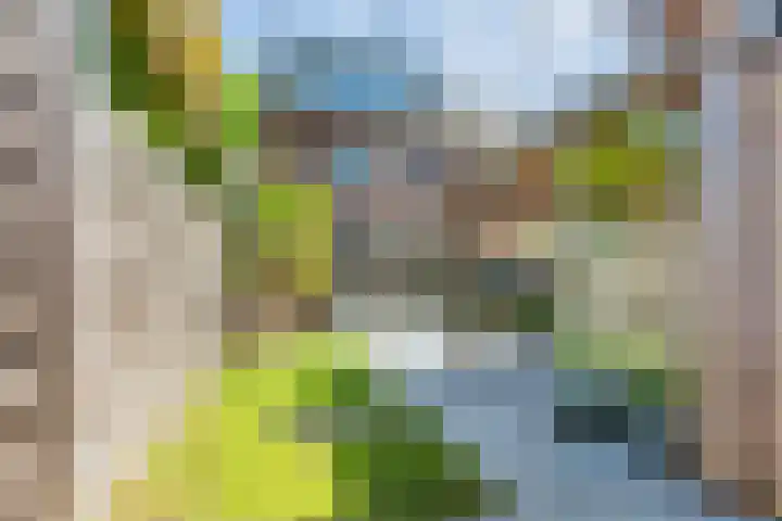 Shipovalaan 11 Utrecht thumbnail 4
